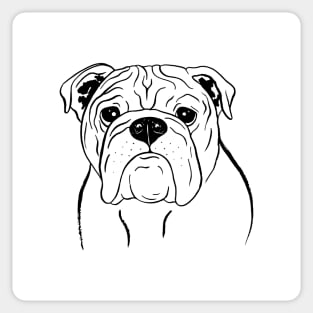 English Bulldog (Black and White) Sticker